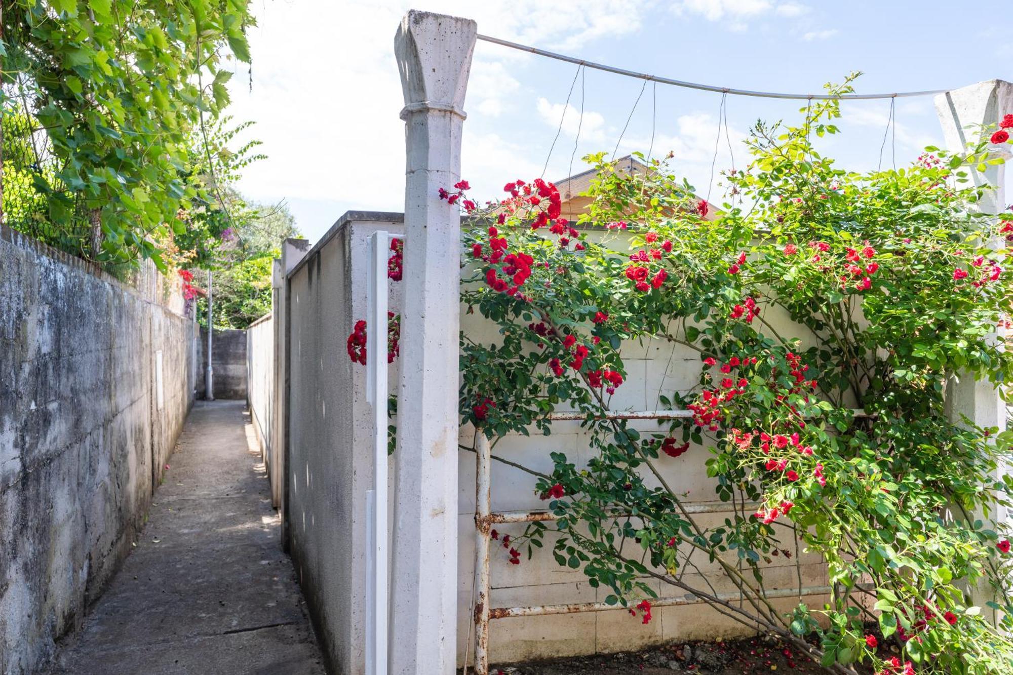 Apartment Laura Ντουμπρόβνικ Εξωτερικό φωτογραφία